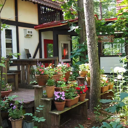 The Squirrel'S Guesthouse Canterbury